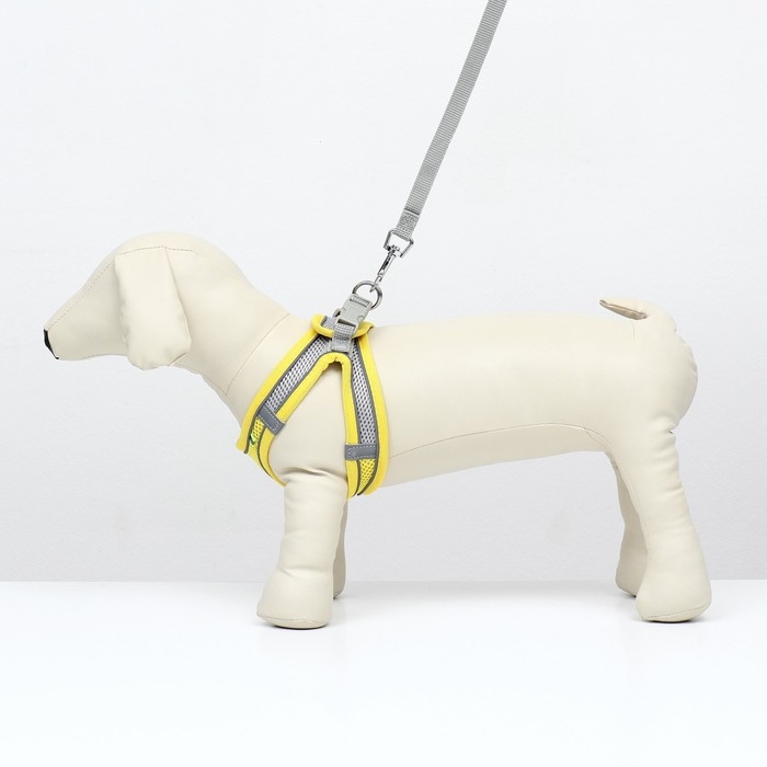 Комплект с мягкой шлейкой, быстросъемный, XS, поводок 150 х 1,5 см, ОШ 29-32 см, ОГ 31-34 см, жёлтый Комплект с мягкой шлейкой, быстросъемный, XS, поводок 150 х 1,5 см, ОШ 29-32 см, ОГ 31-34 см, жёлтый