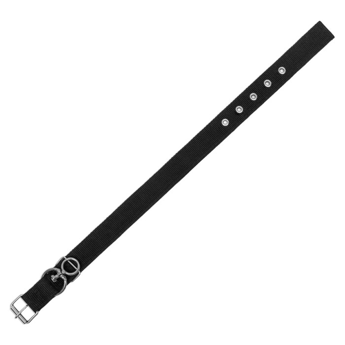 Ошейник двухслойный с вертлюгом, 55 х 2,5 см, полиэстер, черный