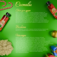 Новогодний подарочный набор косметики «Вера в чудеса», с ароматом мяты и корицы. Красная серия Новогодний подарочный набор косметики «Вера в чудеса», с ароматом мяты и корицы. Красная серия