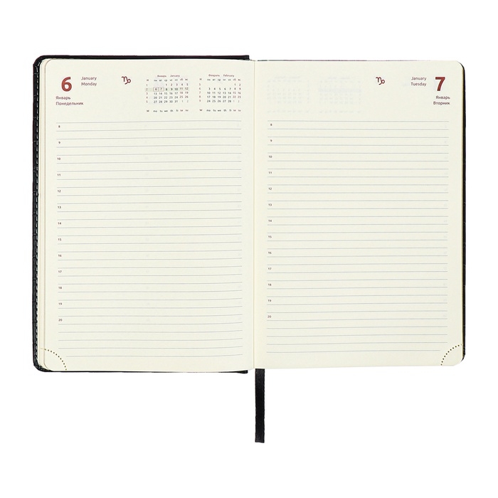 Ежедневник датированный 2024 A5 176 листов, deVENTE.Wild, твёрдая обложка из искусственной кожи, золотой срез, ляссе, кремовый блок 70 г/м2, чёрный