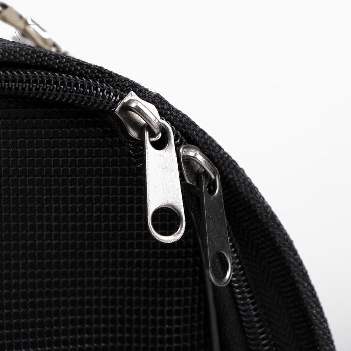 Сумка-переноска для животных "Белый тигр", размер М, 45 х 21 х 27 см