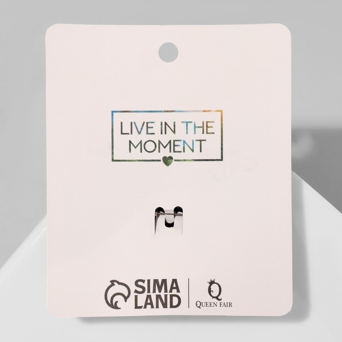 Брошь &laquo;Ёжик&raquo; лесной, цвет чёрно-белый в серебре