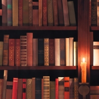 Фотофон винил "Книжные полки" 150х210 см Фотофон винил "Книжные полки" 150х210 см