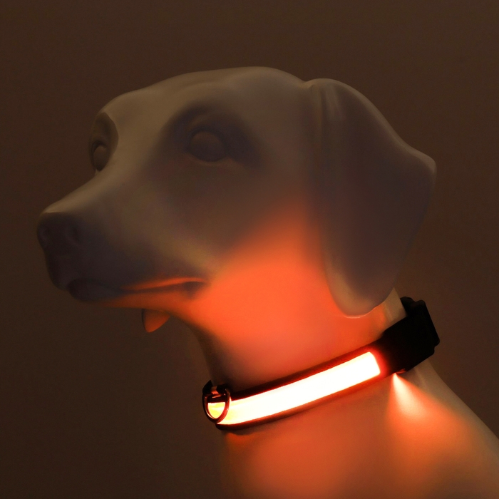 Ошейник с подсветкой Flash 3 режима свечения размер L, ОШ 45-52 х 2,5 см жёлтый