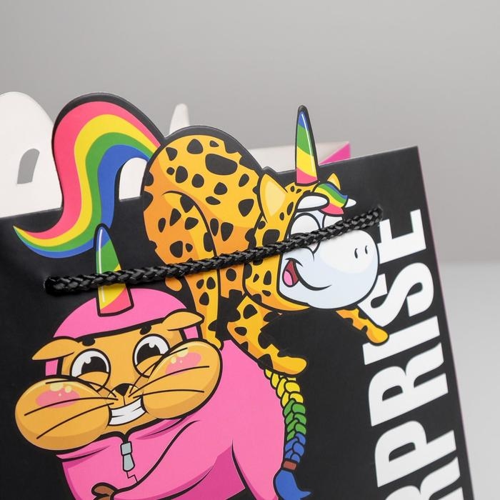 Пакет подарочный, упаковка, &laquo;Surpprise&raquo;, 25 х 26 х 10 см