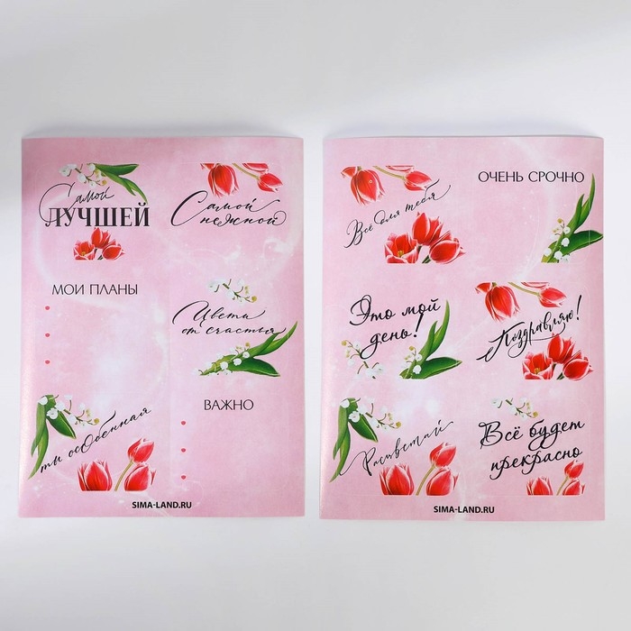 Подарочный набор &laquo;8 марта&raquo; блокнот А6, значок, наклейки и карандаши 2 шт