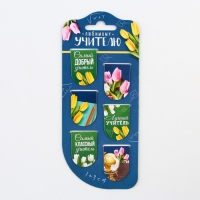 Закладки магнитные на подложке «Любимому учителю», 6 шт. Закладки магнитные на подложке «Любимому учителю», 6 шт.