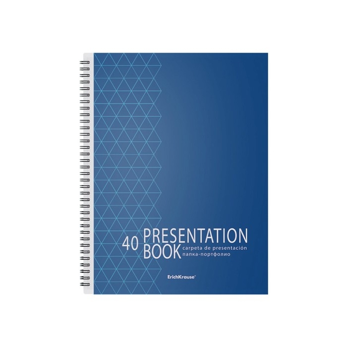 Папка-портфолио с 40 вкладышами А4, 550 мкм, ErichKrause Ladder of Success, спираль, с рисунком