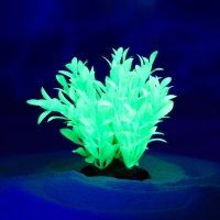 Растение искусственное аквариумное, светящееся, 10 см, зелёное Растение искусственное аквариумное, светящееся, 10 см, зелёное