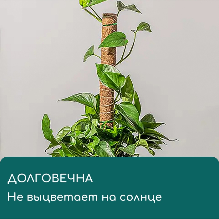 Опора для подвязки растений, h = 50 см, d = 5 см, кокосовая, Greengo Опора для подвязки растений, h = 50 см, d = 5 см, кокосовая, Greengo