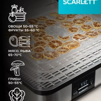 Сушилка для овощей и фруктов, дегидратор SC-FD421T19