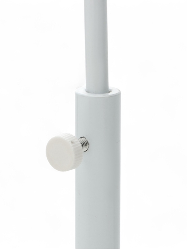 Макет "Поясничный отдел позвоночника, тазобедренный сустав" 40*26см