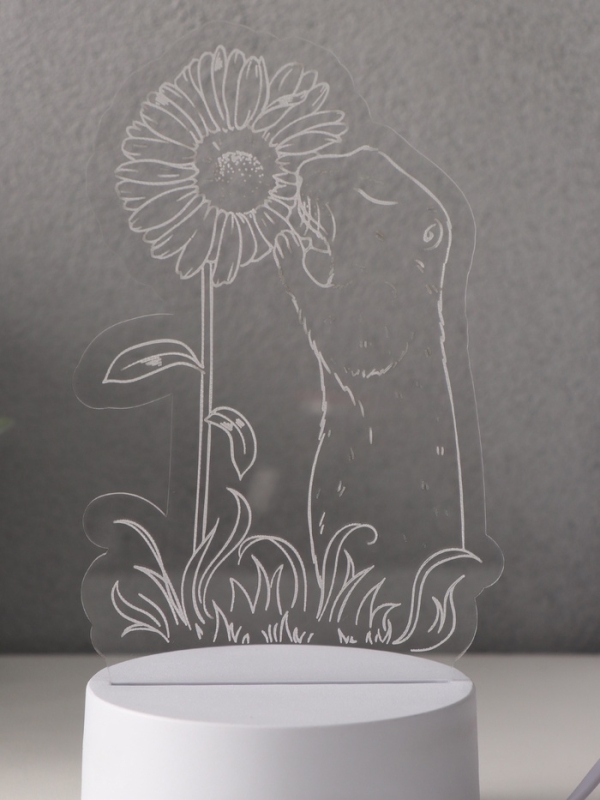 Светильник "Суслик и ромашка" LED RGB от сети RISALUX 9,5х10,1х17 см