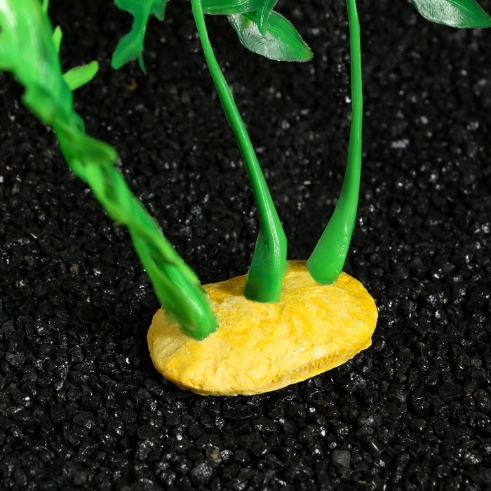 Растение искусственное аквариумное, 4 х 6 х 16 см Растение искусственное аквариумное, 4 х 6 х 16 см