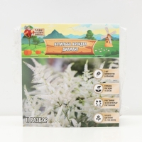 Астильба Арендса Diamant многолетник, корневище в торфогрунте, р-р II, 2 шт.