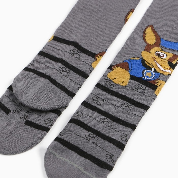 Колготки PAW PATROL &laquo;Гончик&raquo;, цвет серый, 86-92 см
