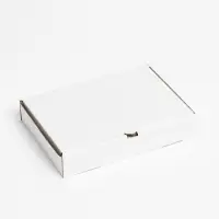 Коробка для пиццы, белая, 30 х 20 х 5 см