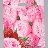 Пакет "Розовая симфония, полиэтиленовый с вырубной ручкой 30х40 см, 60 мкм