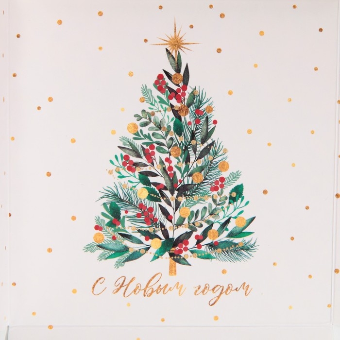 Коробка для кондитерских изделий с PVC крышкой «Елка», 21 х 21 х 3 см Коробка для кондитерских изделий с PVC крышкой «Елка», 21 х 21 х 3 см