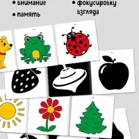 Набор картонных книжек-гармошек "Смотрим вместе", 6 шт.