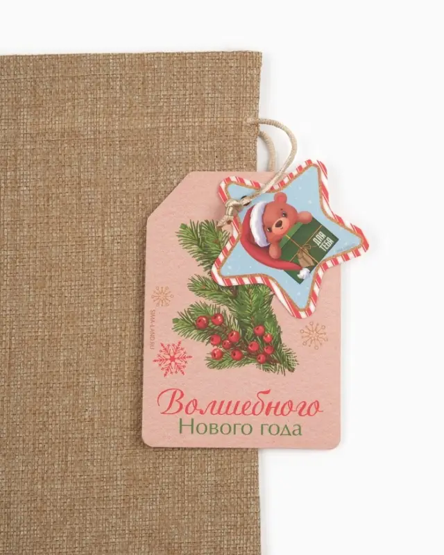 Мешок подарочный &laquo;Волшебного Нового года&raquo;, 20 &times; 30 см