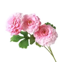 Цветы искусственные "Хризантема волнистая галант" d-8 см 58 см, розовый