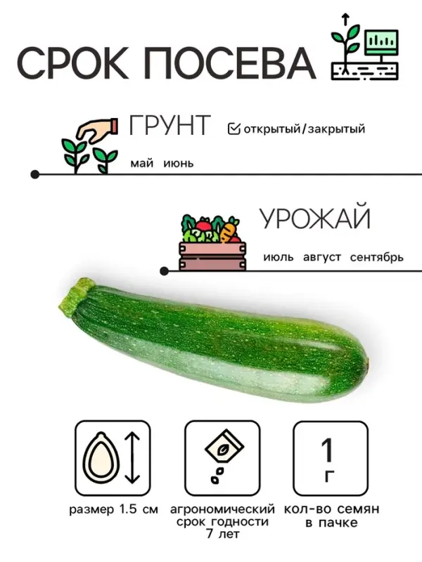 Семена Кабачок "Скворушка", 1 г