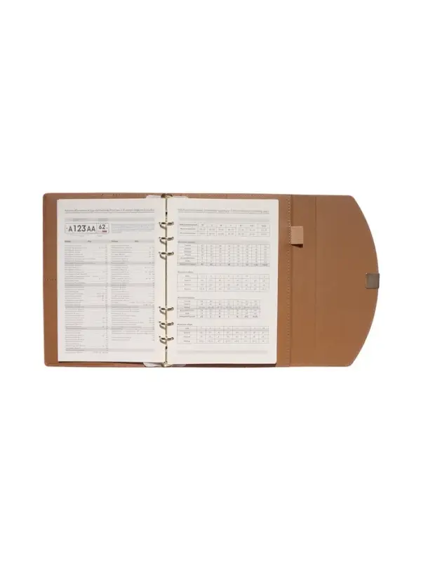 Органайзер на кольцах, A5, с клапаном, 80л, линия, к/зам, Оражевый