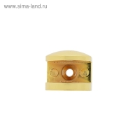 Полкодержатель P110GP, 22х23х20 мм, 4 шт в наборе, цвет золото