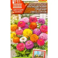 Семена цветов Цинния Крупноцветковая горшечная, смесь сортов  Цветущий балкон, Ц/П,12 шт.