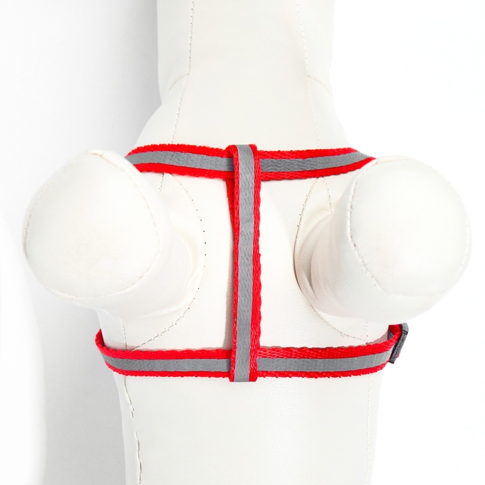 Комплект со светоотражающей лентой, ошейник 120 х 1 см, ОГ 26-40 см, красный