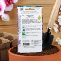 Семена цветов Алиссум "Восточная ночь", 170шт