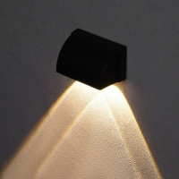 Светильник фасадный &laquo;Каскад&raquo;, FSD-094, 2 Вт, 3000К, 2 луча, IP65, 220 В, металл, черный