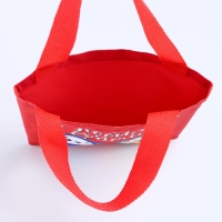 Мешок для подарков &laquo;Котик-дракон&raquo;