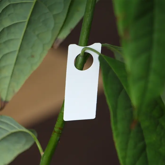 Бирки садовые, для маркировки растений, 5&times;2 см, набор 20 шт., пластик, МИКС, Greengo