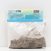 Лилия Махровая Scoubidou, луковица в пакете с перфорацией, р-р 12/14, 2 шт.