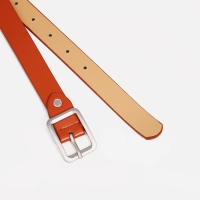 Ремень женский, ширина 2,4 см, винт, пряжка металл, цвет рыжий