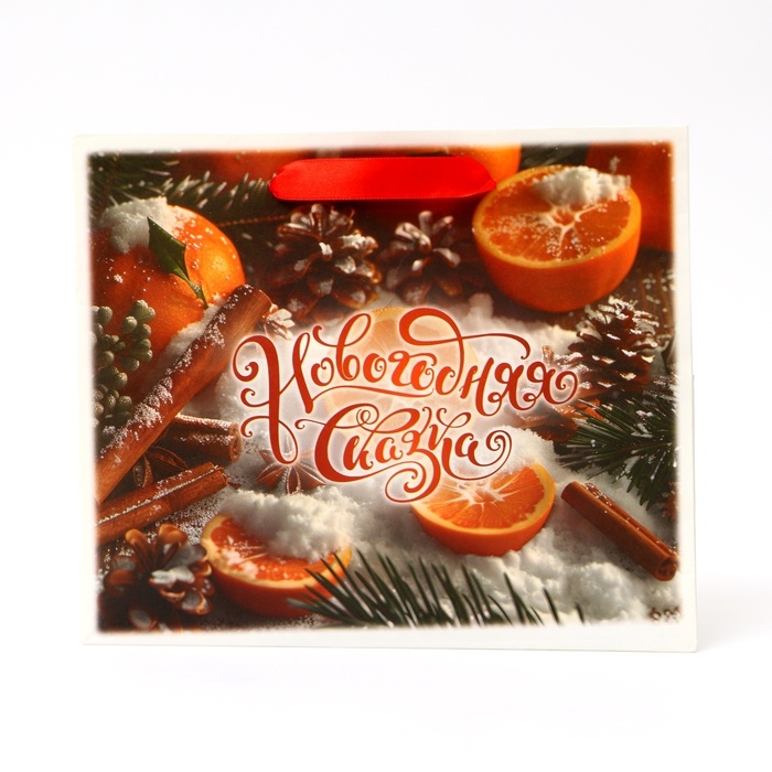 Новый год. Пакет подарочный новогодний бумажный, Новый год. Пакет подарочный новогодний бумажный, "Новогодняя сказка", 24 х 20 х 11 см.