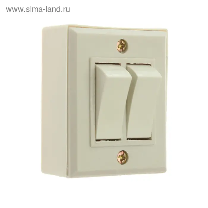 Выключатель "Топ", 10 А, 220 В, 2 клавиши, накладной, белый
