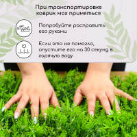 Декоративная панель, 60 &times; 40 см, &laquo;Сочная трава&raquo;, Greengo