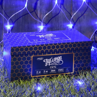 Гирлянда &laquo;Сеть&raquo; 2 &times; 3 м, IP44, УМС, прозрачная нить, 384 LED, свечение синее, 220 В