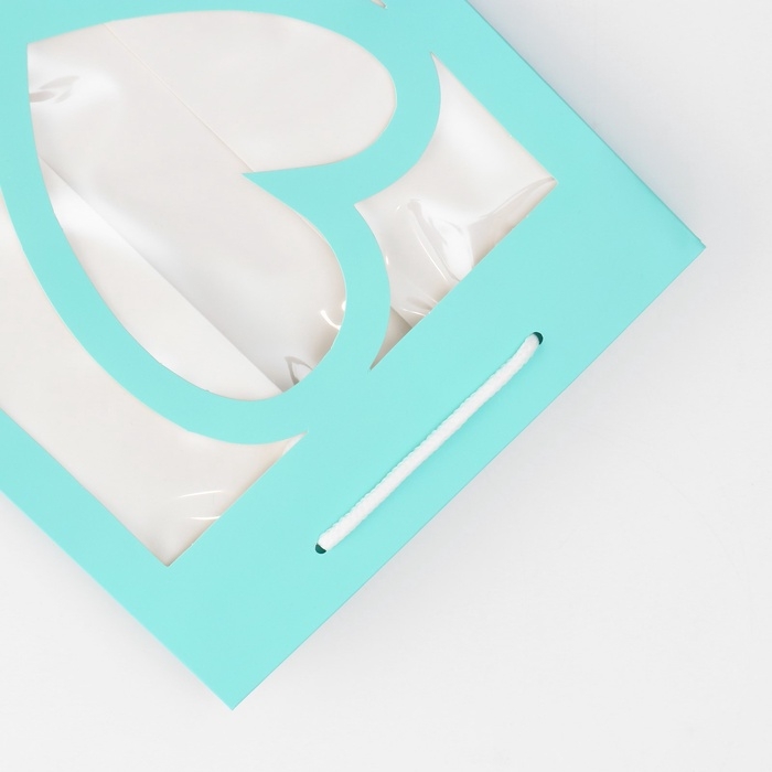 Пакет подарочный с фигурным окном, 20 х 16 х 30 см, голубой Пакет подарочный с фигурным окном, 20 х 16 х 30 см, голубой