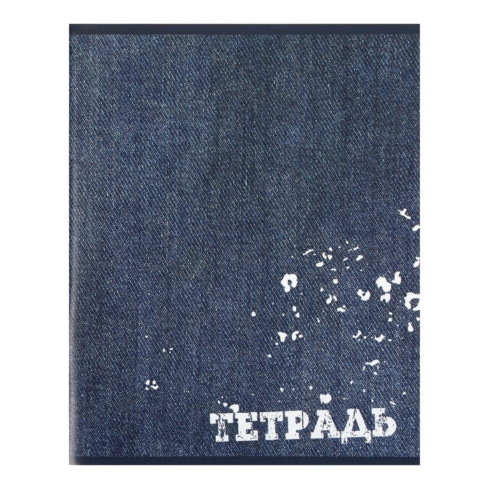 Комплект тетрадей из 4 штук, 96 листов в клетку Calligrata "Джинс", обложка мелованный картон, блок офсет