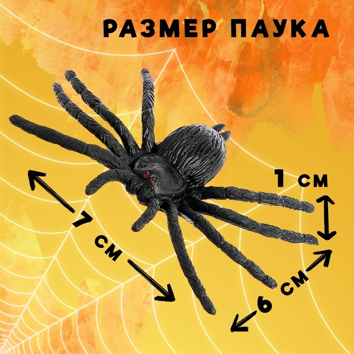 Набор насекомых &laquo;Пауки&raquo;