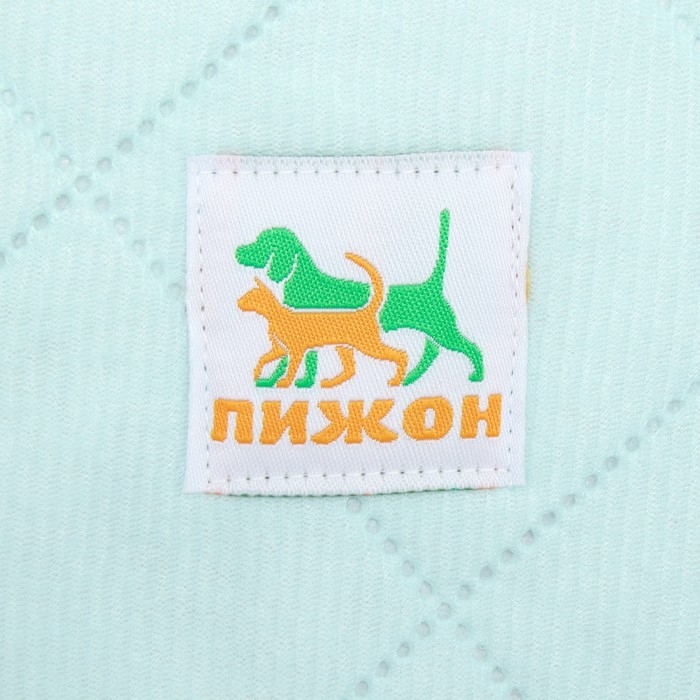 Пелёнка для животных многоразовая впитывающая, 60 х 50 см, мятная Пелёнка для животных многоразовая впитывающая, 60 х 50 см, мятная