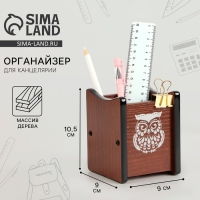 Органайзер для канцелярии &laquo;Сова&raquo;