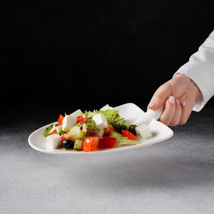 Блюдо фарфоровое Magistro &laquo;Бланш&raquo;, 24&times;18&times;4,5 см, цвет белый