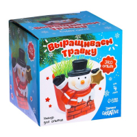 Набор для опытов &laquo;Выращиваем травку&raquo;, снеговик