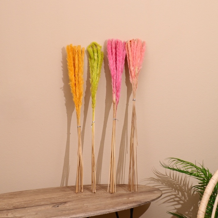 Набор сухоцветов 80 см (10 шт) микс Набор сухоцветов 80 см (10 шт) микс