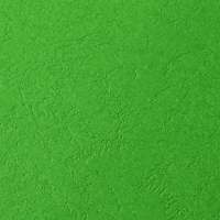 Обложки для переплета A4, 230 г/м2, 100 листов, картонные, зеленые, тиснение под Кожу, Гелеос Обложки для переплета A4, 230 г/м2, 100 листов, картонные, зеленые, тиснение под Кожу, Гелеос